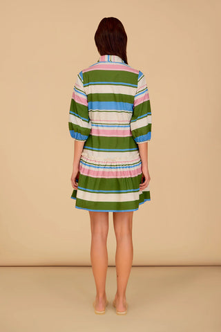 Brynn Dress in Rayas