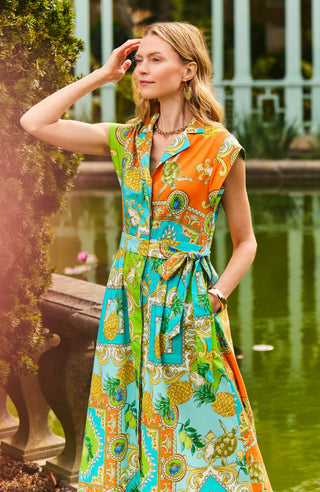 Paige Positano Dress in MLT